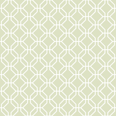 product image of Trellis Negative Sage Green Wallpaper from the Secret Garden Collection by Galerie Wallcoverings 522