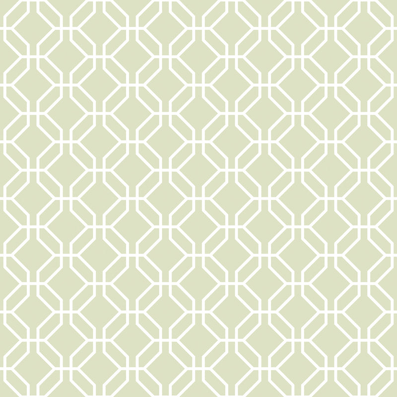 media image for Trellis Negative Sage Green Wallpaper from the Secret Garden Collection by Galerie Wallcoverings 280