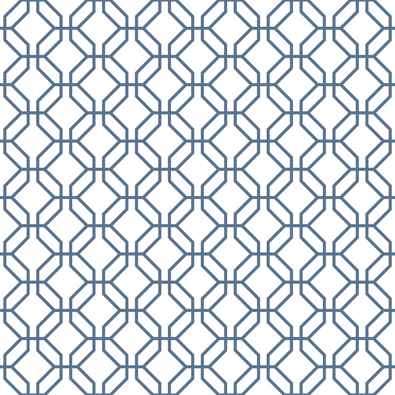 media image for Trellis Positive Blue Wallpaper from the Secret Garden Collection by Galerie Wallcoverings 249