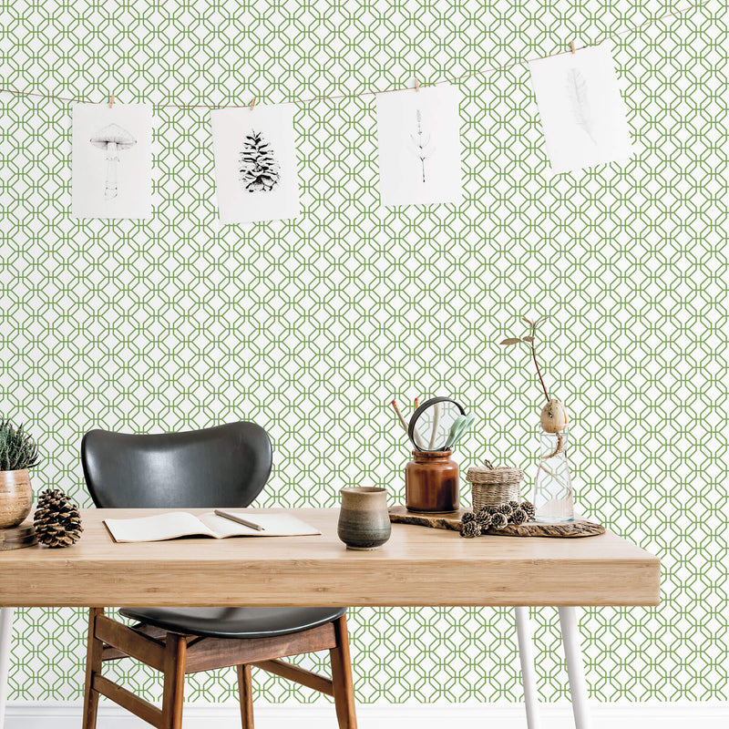 media image for Trellis Positive Fresh Green Wallpaper from the Secret Garden Collection by Galerie Wallcoverings 259