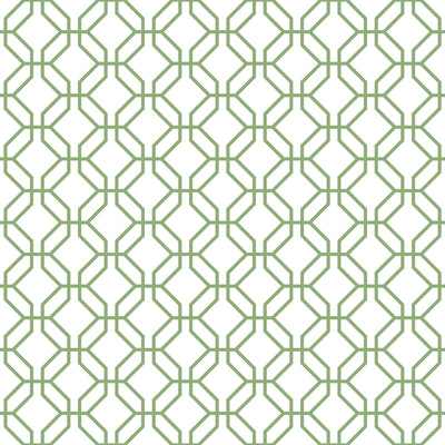 product image for Trellis Positive Fresh Green Wallpaper from the Secret Garden Collection by Galerie Wallcoverings 59