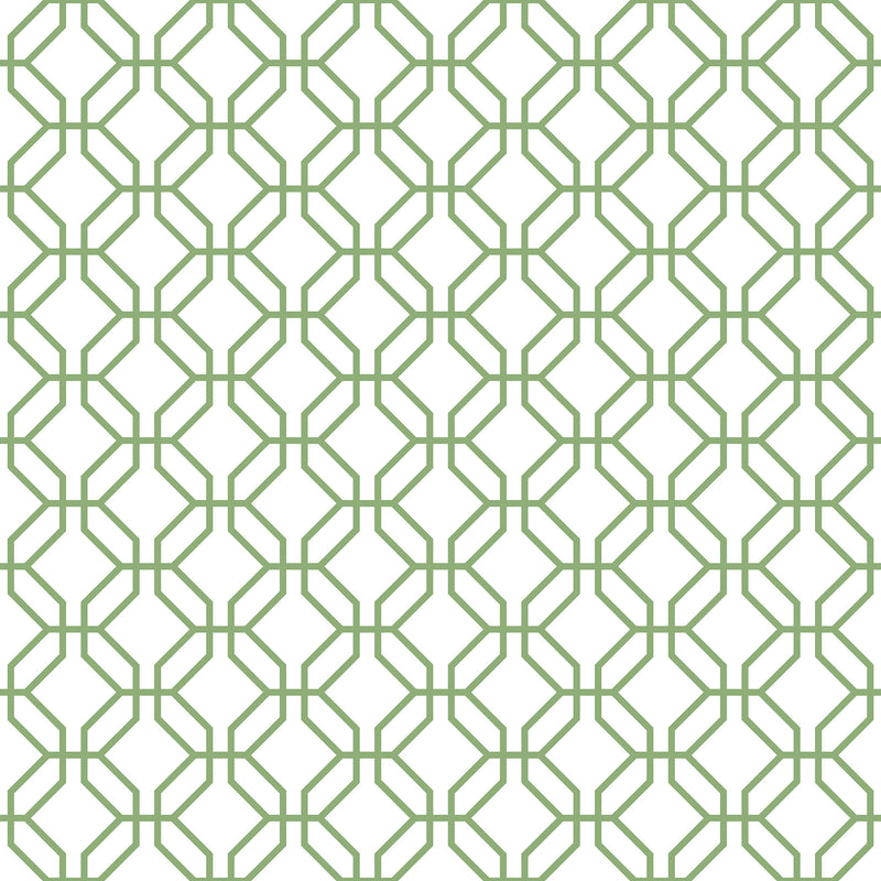 media image for Trellis Positive Fresh Green Wallpaper from the Secret Garden Collection by Galerie Wallcoverings 260