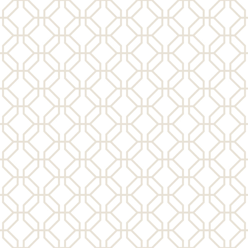 media image for Trellis Positive Taupe Wallpaper from the Secret Garden Collection by Galerie Wallcoverings 289