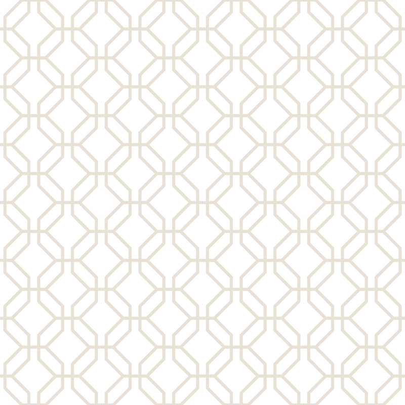 media image for sample trellis positive taupe wallpaper from the secret garden collection by galerie wallcoverings 1 245