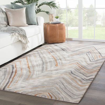 product image for Sadie Chevron Rug in Feather Gray & Tannin design by Jaipur Living 11
