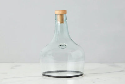 product image for demijohn cloche in various sizes 1 39
