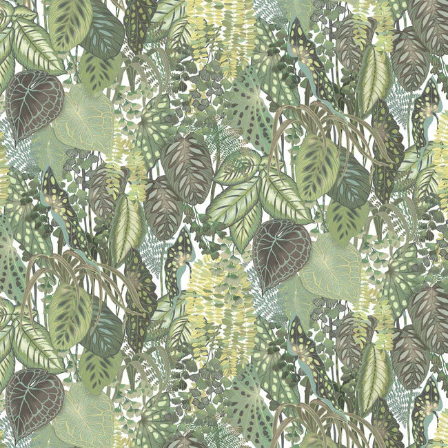 media image for Greenery Cotton Wall Mural from the Greenhouse Collection by York Wallcoverings 297