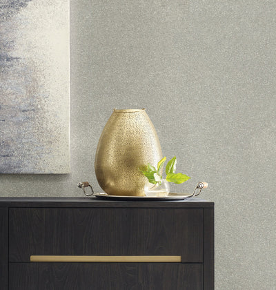 product image for Terra Mica Wallpaper in Silver 6