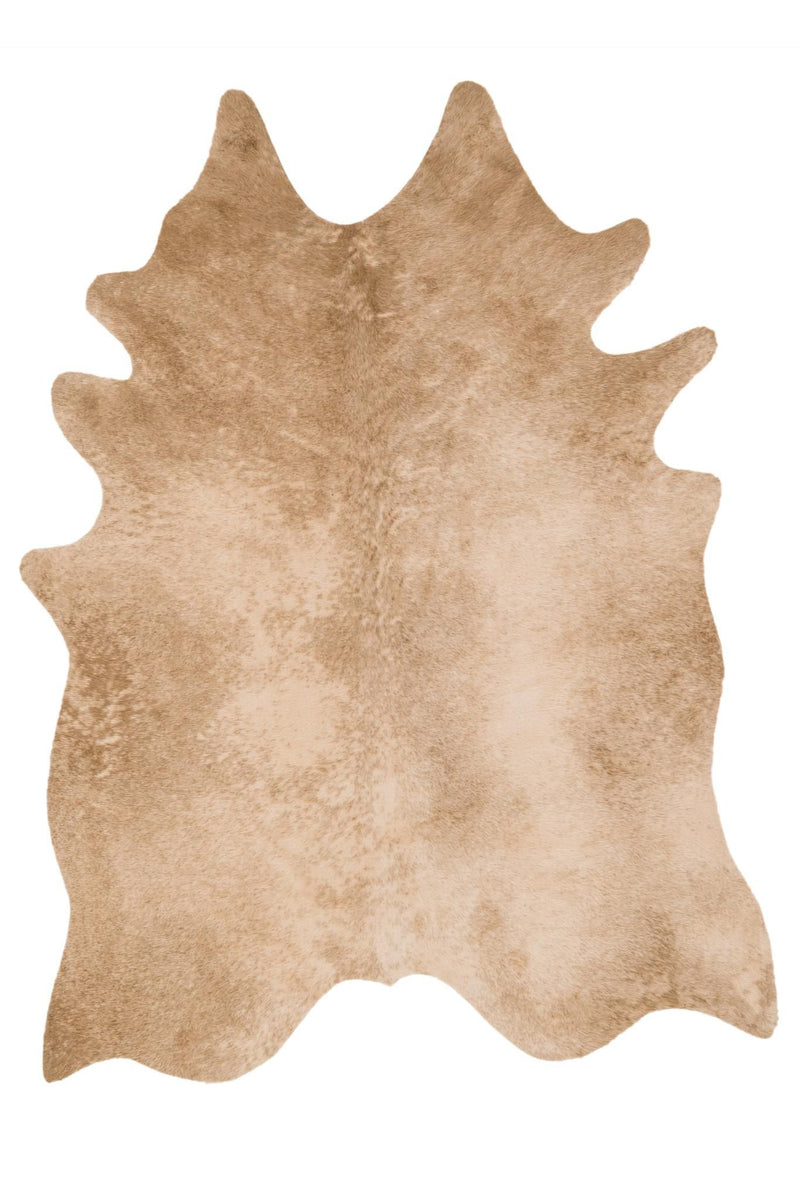 media image for grand canyon rug in tan design by loloi 1 226