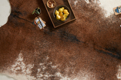 product image for Grand Canyon Rug in Coffee & Ivory by Loloi II 90