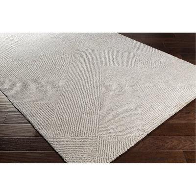 product image for Gavic GVC-2304 Rug in Beige & Light Grey by Surya 3