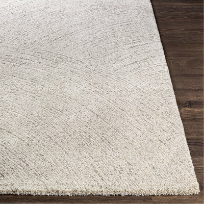 product image for Gavic GVC-2307 Rug in Beige & Light Grey by Surya 74