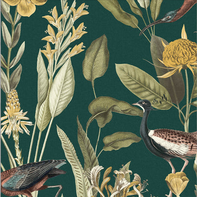 product image of Glasshouse Wallpaper in Green from the Exclusives Collection by Graham & Brown 566