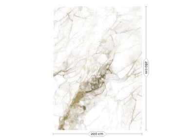 product image for Gold Metallic Wall Mural in Marble White by Kek Amsterdam 95