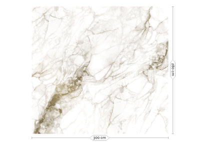 product image for Gold Metallic Wall Mural in Marble White by Kek Amsterdam 70