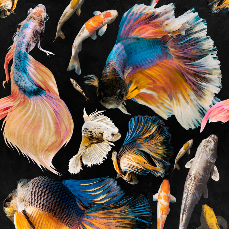media image for Goldfish Wallpaper in Anthracite and Multi from the Atoll Collection by Mind the Gap 292