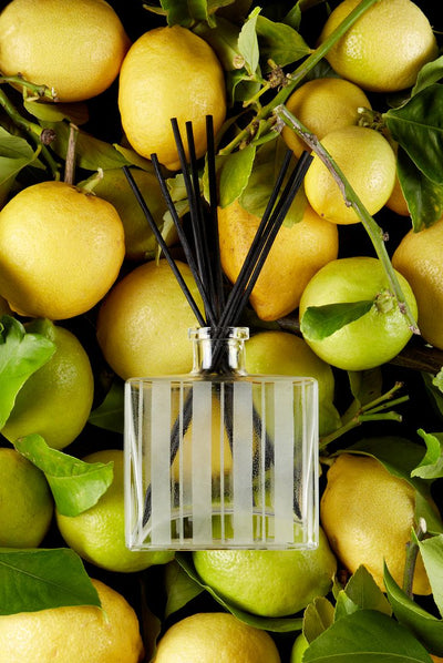 product image for Grapefruit Luxury Reed Diffuser 42