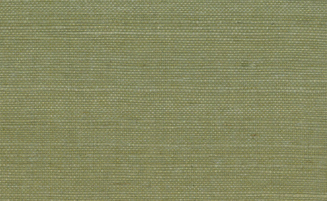 media image for Grasscloth Wallpaper in Greens design by Seabrook Wallcoverings 230