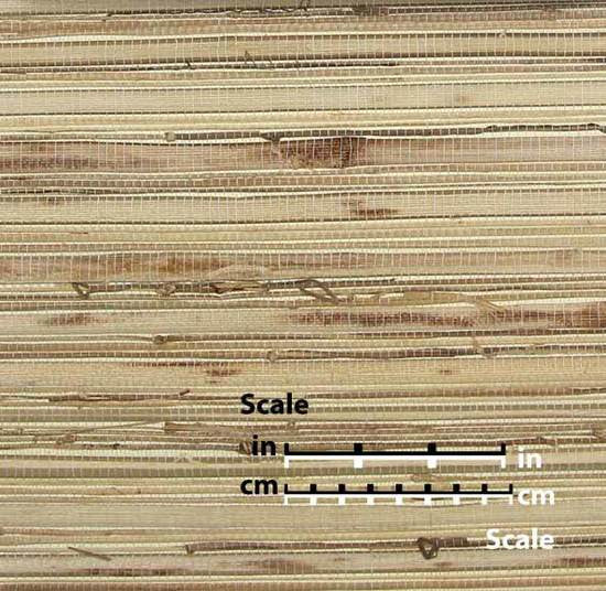 media image for Grasscloth Wallpaper in Tan and Ivory from the Winds of the Asian Pacific Collection by Burke Decor 282