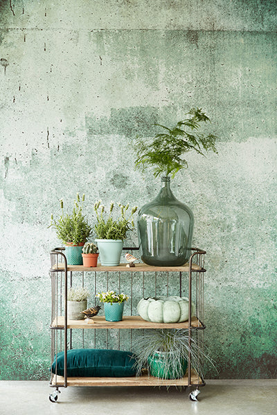 media image for Green Weathered Wall Mural by Eijffinger for Brewster Home Fashions 223