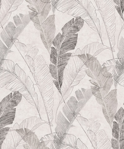 product image for Grey Illustrated Feathers Wallpaper by Walls Republic 50