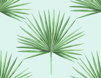 product image for Pacific Palm Peel & Stick Wallpaper in Celeste & Jade 15