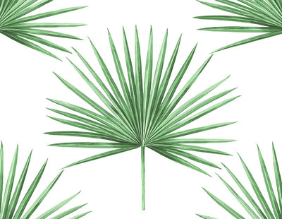 product image of Pacific Palm Peel & Stick Wallpaper in Greenery 553