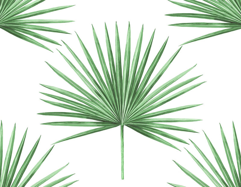 media image for Pacific Palm Peel & Stick Wallpaper in Greenery 299