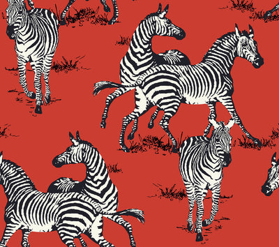 product image of Playful Zebras Peel & Stick Wallpaper in Red 51
