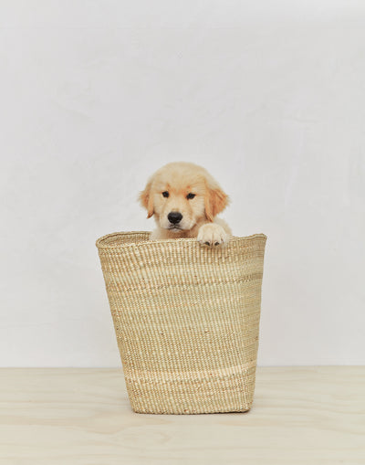 product image for Woven Basket in Various Sizes design by Hawkins New York 92