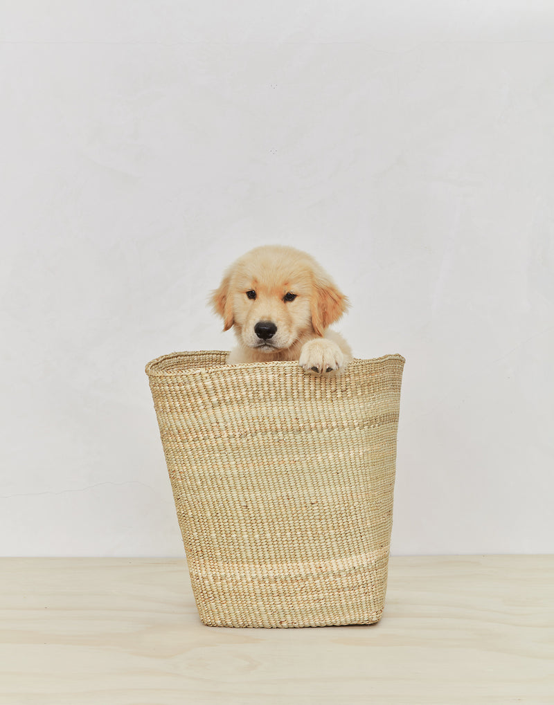 media image for Woven Basket in Various Sizes design by Hawkins New York 222