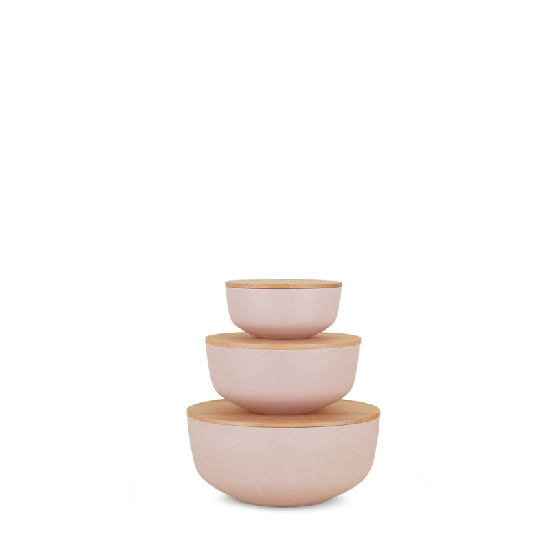media image for Essential Lidded Bowls - Set of 3in Various Colors by Hawkins New York 269