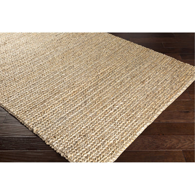 product image for Haraz HRA-1001 Hand Woven Rug in Taupe & Cream by Surya 11
