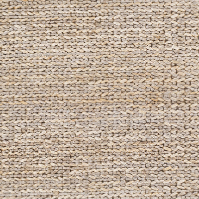 product image for Haraz HRA-1001 Hand Woven Rug in Taupe & Cream by Surya 50