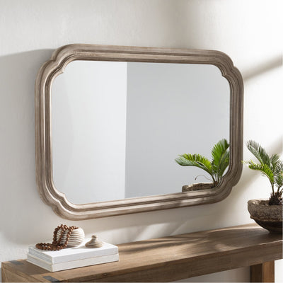product image for Harlan HRL-001 Rectangular Mirror in Natural by Surya 43