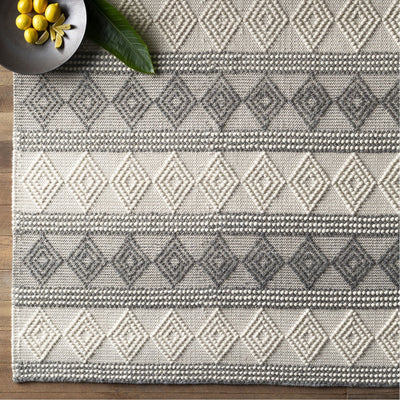 product image for Hygge HYG-2300 Hand Woven Rug in Charcoal & White by Surya 82