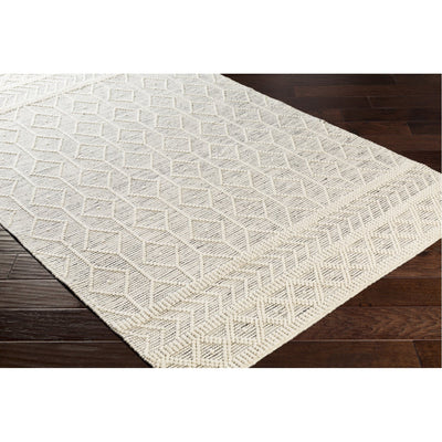 product image for Hygge HYG-2307 Hand Woven Rug in Charcoal & White by Surya 31