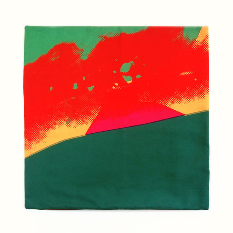 media image for Andy Warhol Art Pillow in Red & Green design by Henzel Studio 26