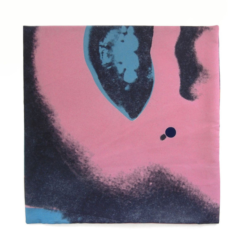 media image for Andy Warhol Art Pillow in Pink & Blue design by Henzel Studio 291