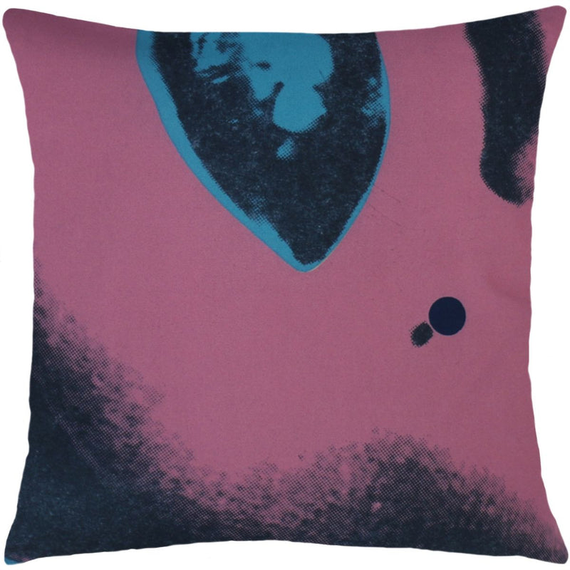 media image for Andy Warhol Art Pillow in Pink & Blue design by Henzel Studio 249