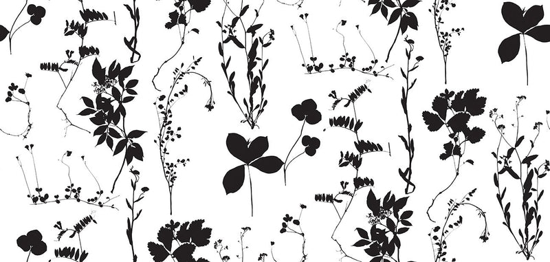 media image for Herbario Wallpaper in Cinder design by Aimee Wilder 279