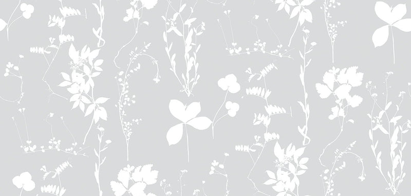 media image for Herbario Wallpaper in Dove design by Aimee Wilder 279