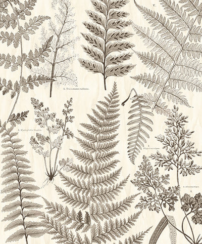 product image for Herbarium Black Wall Mural by Eijffinger for Brewster Home Fashions 40