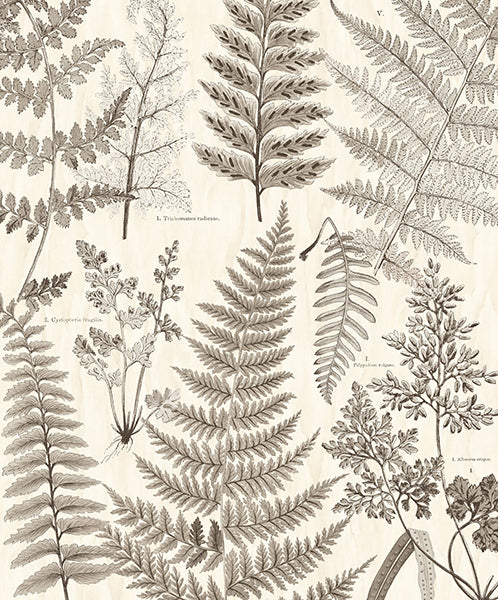 media image for Herbarium Black Wall Mural by Eijffinger for Brewster Home Fashions 297