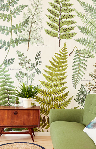 product image for Herbarium Green Wall Mural by Eijffinger for Brewster Home Fashions 50