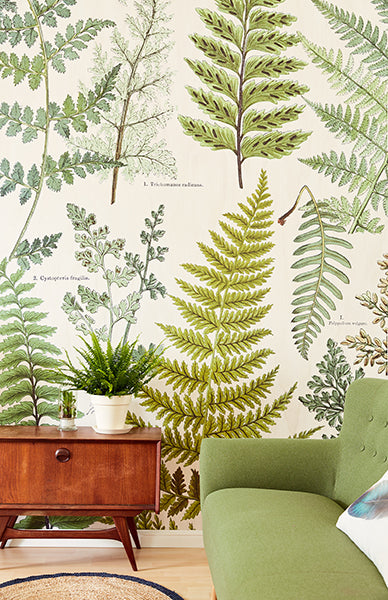 media image for Herbarium Green Wall Mural by Eijffinger for Brewster Home Fashions 275