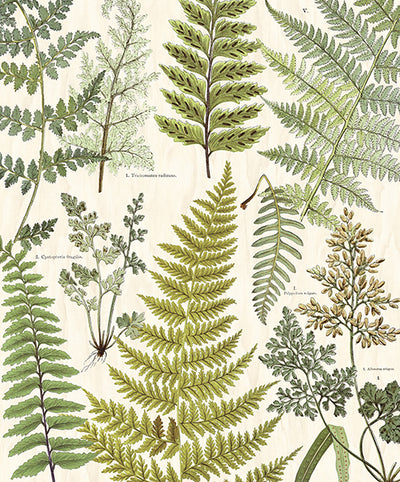 product image for Herbarium Green Wall Mural by Eijffinger for Brewster Home Fashions 28