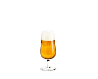 product image of holmegaard bouquet beer glass by rosendahl 4803116 1 577