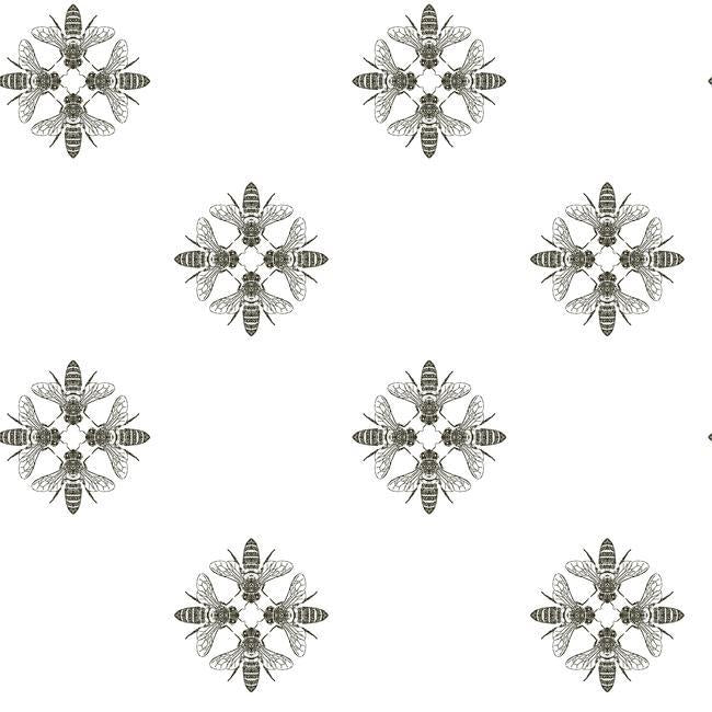 media image for Honey Bee Peel & Stick Wallpaper in White and Black by RoomMates for York Wallcoverings 23