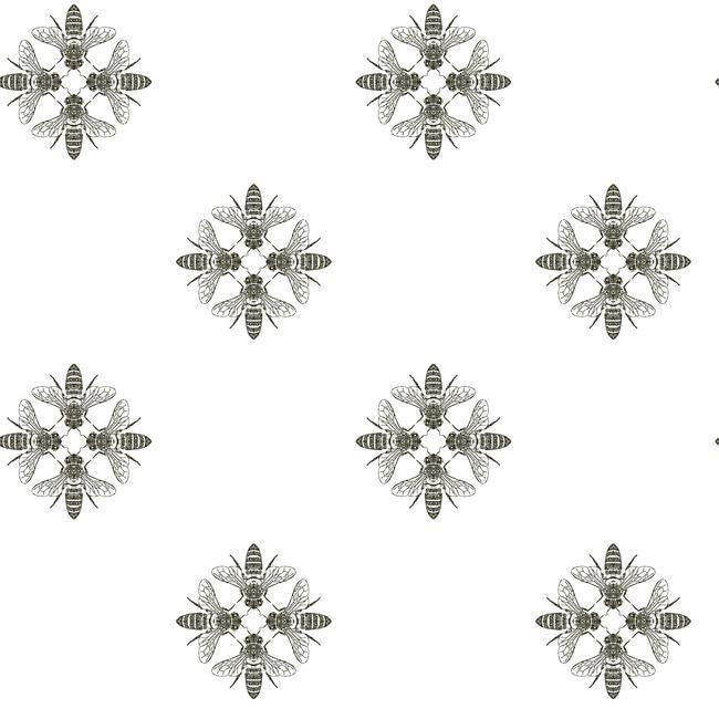 media image for sample honey bee peel stick wallpaper in white and black by roommates for york wallcoverings 1 261